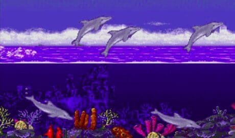 Ecco the Dolphin