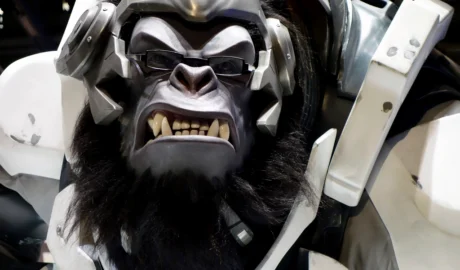 Overwatch monkey model